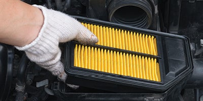 Cabin & Engine Air Filter Replacement